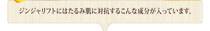 GIMGE RIFT�@�ʔ�