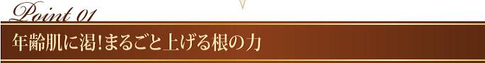 GIMGE RIFT�@�ʔ�